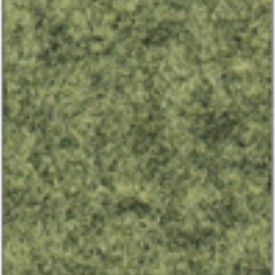 Focus_col_68245.jpg